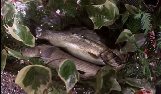 une jeune sirène éveille le désir d'un homme pour le poisson