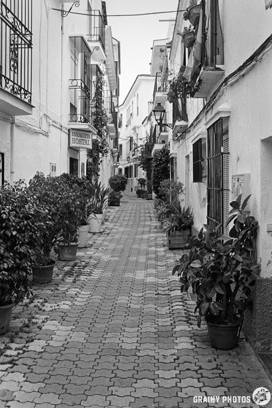 A narrow, winding alleyway lined with potted plants and whitewashed buildings. Light fixtures hang above, and a sign for a hostal can be seen. The scene is captured in black and white, adding a timeless quality to the quaint, charming atmosphere.