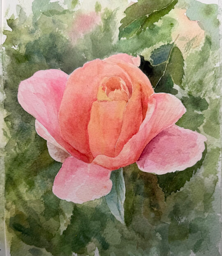 A luminous coral-pink rose, just beginning to unfurl its tightly curled center, stands out against a lush wash of layered green leaves, capturing the quiet anticipation of a flower on the verge of full bloom.