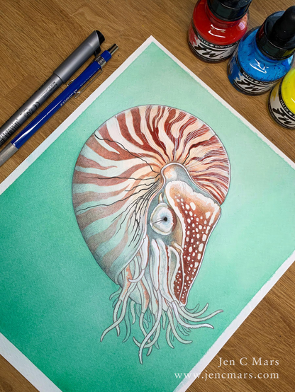 Photo of an illustration of a chambered nautilus in pale green water, completed, placed on a wood grain desk with pen, pencil, and bottles of ink visible along side it