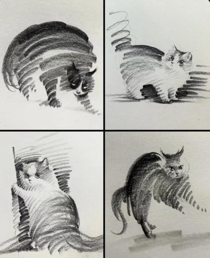 Four sketches of cats in different poses, drawn in minimal strokes in pencil.