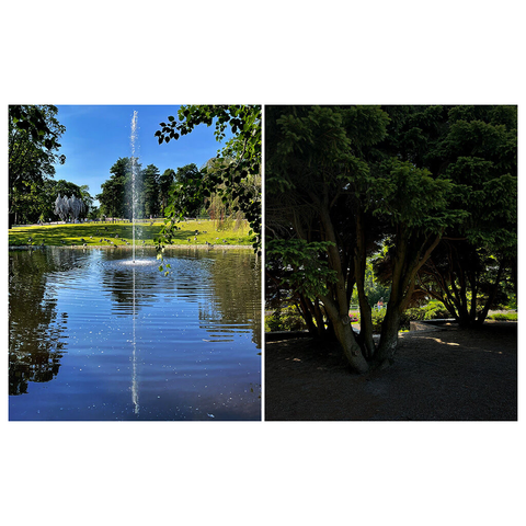 A diptych of photographs from Helsinki's Sibelius park. The left photo shows a water fountain in a sunlit pond with trees. The photo to the right dense trees casting deep shadows.