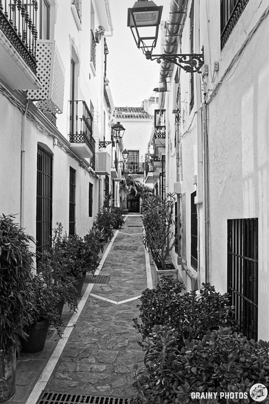 Narrow alleyway lined with potted plants and lanterns, featuring whitewashed buildings and wrought iron balconies. The scene captures a serene, timeless vibe, highlighted by the black and white contrast.