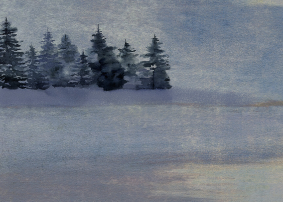 Pine trees line the distant shore of a lake, backlit against a stormy blue-gray sky. In the foreground, on a snowy bank, a solitary stone rests. Upon its face, two closed eyes and a linear pattern of foliage. Atop its gray head, a bit of snow and white, ghost-like blooming flowers from memories past. (partial image)
