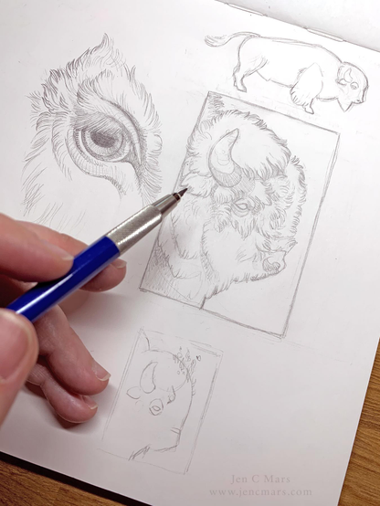 Photo of part of a sketchbook page with pencil sketches of an American bison, including a head in profile, close-up of a bison eye, and a loose outline of a bison silhouette. A hand holding a blue lead holder is visible on the left side.