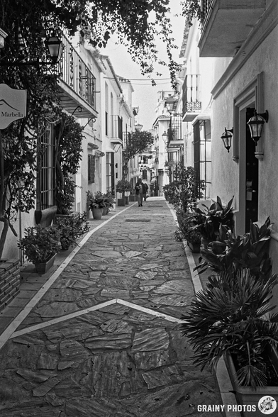 A narrow cobblestone alley lined with potted plants, featuring whitewashed buildings and wrought iron balconies. A person walks along the path, surrounded by the charm of a quaint, historic setting.