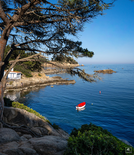 Color photo of a rocky Mediterranean shoreline with a pine tree in the left foreground and a small red boat moored out in the blue water.