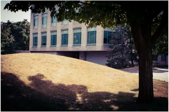 A small mound of grass is pale yellow on a hot summer day. Sunlight hits the hill and shadows are seen from the tree in the front right foreground. A large building with glass windows is seen in the background.