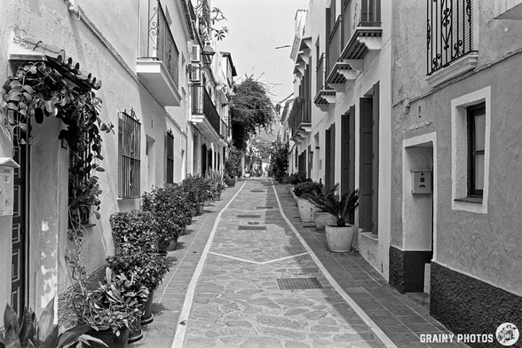 A narrow, cobblestone alley lined with quaint white buildings, potted plants, and greenery. The scene is captured in black and white, evoking a serene, timeless atmosphere typical of charming, less-traveled areas.