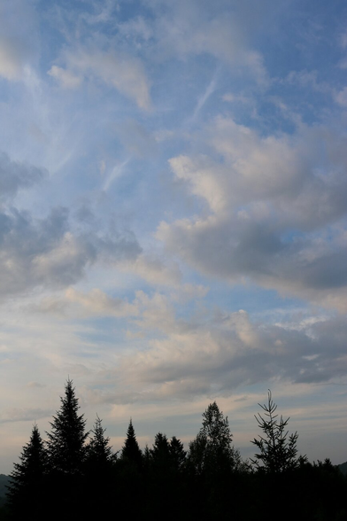 Photograph of a blue sky with white and grey clouds, with some black silhouettes of pointed conifers on the horizon below.

Photographie d'un ciel bleu avec des nuages blancs et gris, avec en bas à l'horizon quelques silhouettes noires de conifères pointus.
