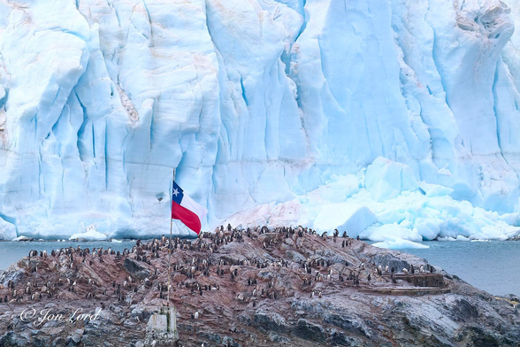 This is a colour photo in landscape format of a small rocky island with a Chilean flag flying from the centre and covered, covered with hundreds of Gentoo Penguins (and a vast glacier towering over the water's edge. Paradise Bay, Antarctica (2024).

In the foreground is our slightly dome shaped rocky island. The island stretches from the left to the right of the photo and rises to just below the photo's centre  and viewed from 10-15m away. To the lower left of centre is a concrete pillar supporting a long flag pole that flies a Chilean flag. The flag has a red horizontal lower half, white horizontal upper half, a blue square in the upper left corner with a white star set against the blue background. The sharp rocks, where visible are  medium grey with a few concrete foundations to the right side of the island that may have once supported small buildings. While the Chilean flag may proudly fly over the island the real owners are the hundreds of Gentoo Penguins (Pygoscelis papua) that live and breed on the island. The penguins are viewed at a distance, their white fronts and black backs can be clearly recognised. Much of the island is stained a medium red (penguin poo), personal hygiene is not a penguin thing. Behind the island is a stretch of about 100m of calm, medium blue water, again that stretches from left to right and rises upwards to the quarter up level in the photo. Dominating the background, if not the whole image, is the face of an enormous glacier on the waters edge that rises to the top of the image. The face of the glacier is lined with numerous large, deep, vertical crevasses. The colour is a mix of white, turquoise and hints of blue. To the lower right of centre there is a large pile of blocks of ice from a recent calving of the glacier. 

What is out of view is the research station's buildings that are to the left of the flag and the thousands and thousands of other penguins that must outnumber the summer scientists by at least one thousand to one, but probably more. 