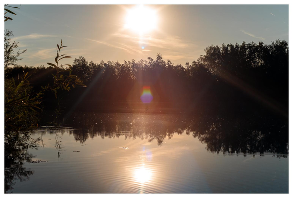 See im Gegenlicht mit Lensflares dekoriert.