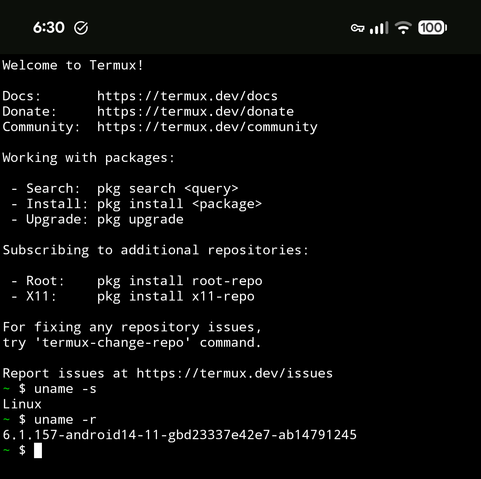 Screenshot of a terminal session on an Android device. The command "uname -s" returns "Linux," and the command "uname -r" returns "16.1.157-android14-11-gbd23337e42e7-ab14791245."