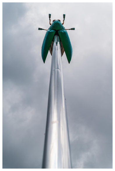 Fotografie von unten nach oben einer Säule in Form einer Nadel auf der ein Käfer steckt. 