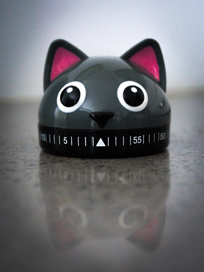 Close of a grey plastic cat kitchen timer sitting on a granite worktop. The upper part of the timer is dome shaped with large round eyes and pink-lined ears sticking up. The smaller bottom part is black with white lines and numbers in 5 minute increments wrapping around it. A soft reflection of the timer is mirrored on the glossy kitchen worktop below.