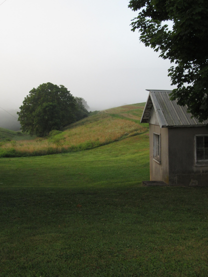 An area of mowed grass gives way to a meadow of taller grasses and a shallow ravine where a few deciduous trees grow. The sloping hill to the right is a farm field that is usually planted but this time lies fallow. the corner of an old cement shed with a tin roof and windows on the two walls that are visible is on the right and stands beneath the branches of an old tree. the sky is clouded by fog that has mostly lifted, though some is still evident in the distance. Photos I take at this farm sometimes remind me of Andrew Wyeth paintings.