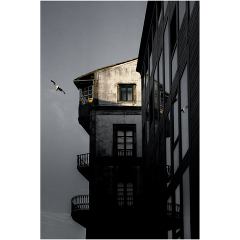 A vertical photo of a building at sunset, lit only at the top, with a seagull flying overhead, its silhouette reflected in one of the windows of the building on the right