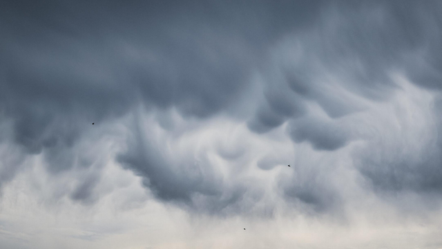 Dark, roiling storm clouds fill the sky, with three small birds silhouetted against lighter gray layers near the lower edge.
