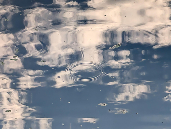 A calm, reflective body of water capturing a sky filled with soft white clouds, overlaid with a distinct ripple effect near the center. The subtle motion of the water distorts these clouds into a painterly, abstract texture.