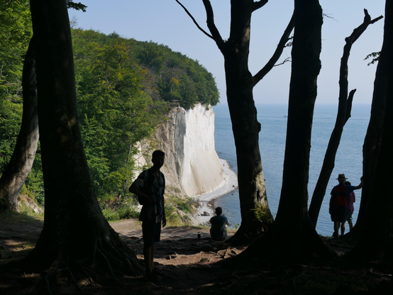 Aus den alten Buchenwald hinaus geht der Blick auf die Kreidefelsen auf Rügen, die hell in der Sonne strahlen. Verschiedene Wanderer suchen Schutz im Schatten der Bäume und genießen das Panorama. Rügen 2020