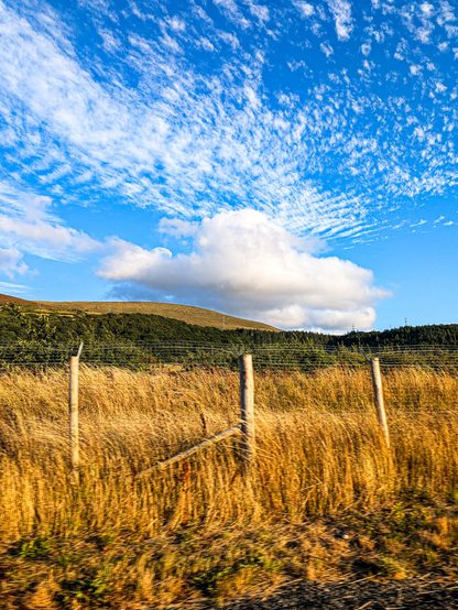 A rural landscape with tall, golden grasses and green rolling hills under a bright blue sky filled with various types of clouds. The top half of the sky is filled with a rippled pattern of thin white clouds, while a single, huge, fluffy white cloud floats lower down seemingly directly over the hills. In the foreground, the tall grasses grow behind a rustic wire fence with vertical wooden posts. The foreground is slightly blurred from forward movement of a vehicle.