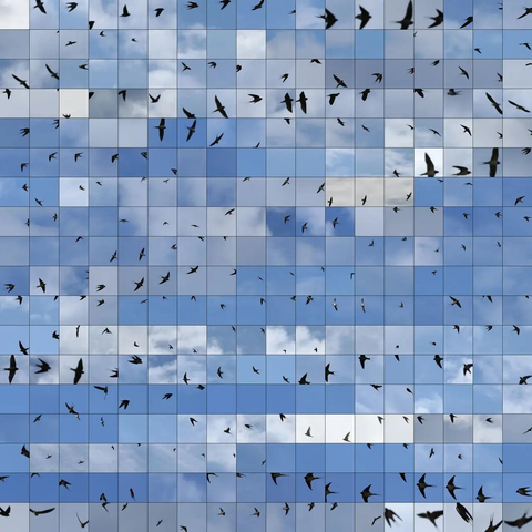 le reflet d'une nuée d'oiseaux (des hirondelles ?) sur le bleu ciel d'une façade vitrée