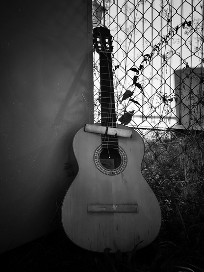 A guitar is leaning against a fence and a wall. The bridge has come loose and is hanging against the neck; the strings are only partially attached. The picture is b&w