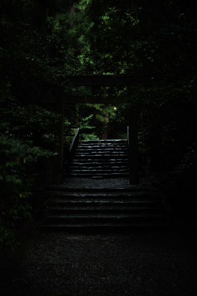 Stone steps leading through a dark, dense forest with a wooden torii gate faintly visible above the stairs.