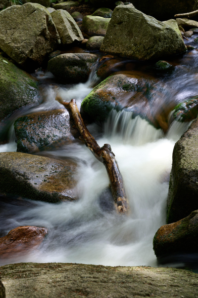 A photograph of a mountain stream flowing through the boulders. A wet, fallen and partially deteriorated branch lies in center and is partially covered by the water. The water foams as it falls from the boulders and its flow is blurred by the length of the exposure.