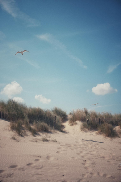 The seagulls are enjoying the breeze.