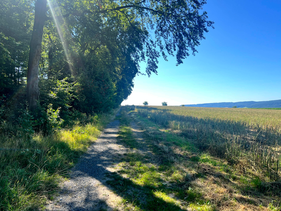 Ein Weg führt am Rande eines Waldes an einem Feld entlang. Die Sonne scheint, die Bäume werfen Schatten von links nach rechs. Ein Sonnenstrahl ist deutlich zu erkennen. Der Himmel ist blau, wolkenlos, der Boden trocken.

A path runs along the edge of a wood, beside a field. The sun is shining; the trees cast shadows from left to right. A ray of sunlight is clearly visible. The sky is blue and cloudless; the ground is dry.