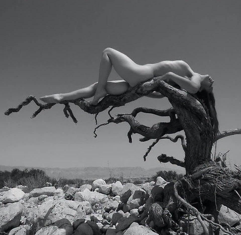 femme nue joliment présentée sur son lit d'arbre mort