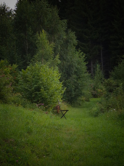 On a green path, surrounded by green trees and bushes, stands a small folding chair.