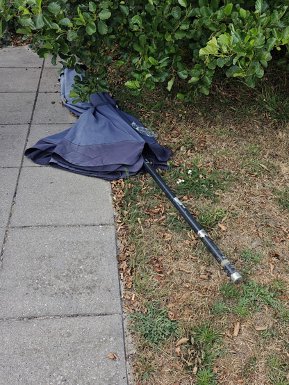 A photo showing a black sun umbrella lying on a patch of dry, brown grass next to a paved sidewalk area and somewhat under a green bush in the back.