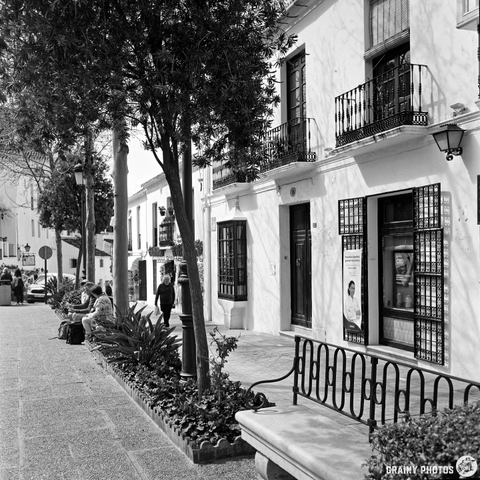 A tranquil Plaza de la Constitución, in monochrome, featuring a tree-lined sidewalk with residential buildings, balconies, and potted plants. People are seated and walking, creating a lively atmosphere in an urban setting.