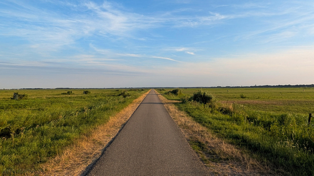 A narrow asphalt road cuts directly through the center of the frame, stretching straight toward a vanishing point on the horizon.

Flat, expansive pastures and fields spread out on either side of the path. 

A wide, clear blue sky dominates the upper half of the image, marked by delicate, wispy white cirrus clouds stretching horizontally.