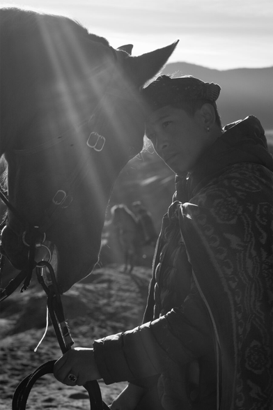 Another angle, where another horse rider is seen in the background behind the man and horse in focus