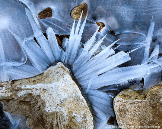 Spiky, fan-like ice crystals radiate across frozen water around smooth, light brown river rocks.