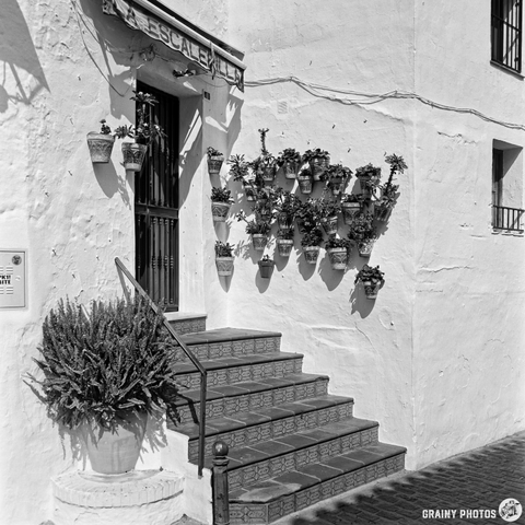 A charming white façade features a doorway adorned with potted plants. Stairs lead up to the entrance, complemented by greenery on the left and a textured wall, evoking a serene and inviting atmosphere.