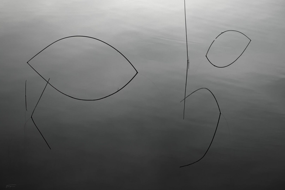 Auf einer grauen, ruhigen Fläche zeichnen sich mehrere dünne, schwarze Linien und geschwungene Formen ab, die an stilisierte Blätter oder Fische erinnern. Die Bildwirkung ist ruhig, reduziert und ein wenig rätselhaft.
 --- 
Against a gray, calm background, several thin black lines and curved shapes emerge, reminiscent of stylized leaves or fish. The overall effect is calm, minimalist, and somewhat enigmatic.