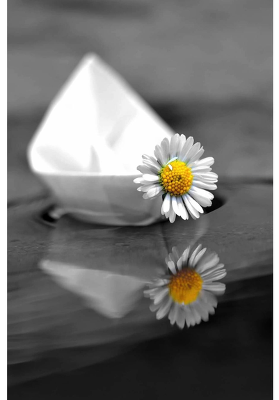 Ein Papierschiffchen im Wasser. Ein Gänseblümchen fährt mit.