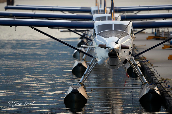 This is a colour abstract photo in landscape format of a line of five Turbo Otter float planes, viewed from the front and moored to a pontoon. Vancouver BC (2018).

From the base of the photo and rising upwards to the three-quarters up level in the image is body of silver and black water with only the smallest ripples disturbing the surface. In the lower right corner the left edge of the pontoon extends away from the camera with more of the pontoon coming into view with increasing distance. Slightly to the right of centre and few metres from the camera is the front of the first floatplane. It is viewed from the same level as the centre of the propeller, with the height of the plane filling most of the height of the photo and with the both wingtips out of view to the sides of the image. The aircraft sits on two long and streamlined floats with multiple struts and cables connecting the two floats to the plane above. At the front is a large single propeller with three feathered blades (The forward edge of the blades are in line with the airflow and in this case with the camera). The blade in the five o'clock position is tied with a rope to the plane in order to stop the blades turning in the breeze. Behind is a long and streamlined nose with a rectangular black scoop underneath, the air intake and two large, dark, exhaust pipes on the side. The fuselage is white though the top surface of the nose is painted black. Behind and above the nose are two large wrap-around windows. The wings sit above the fuselage and are supported by a strut angled from below the fuselage outwards and upwards towards the lower surface of the wing. While the propeller and nose are in focus, every thing behind and on shore, rapidly blurs out of focus. On the water's surface four more sets of floats can be seen behind our first seaplane with three sets of wings visible above and behind. The pontoon on the right, stretches away from the camera. The left edge of the pontoon is lined with multiple, small car tires and is lined with numerous mooring cleats many with ropes extending from the pontoon to the moored float planes. The background is also blurred out of focus and overexposed to a milky coffee colour from the still low morning sun.
