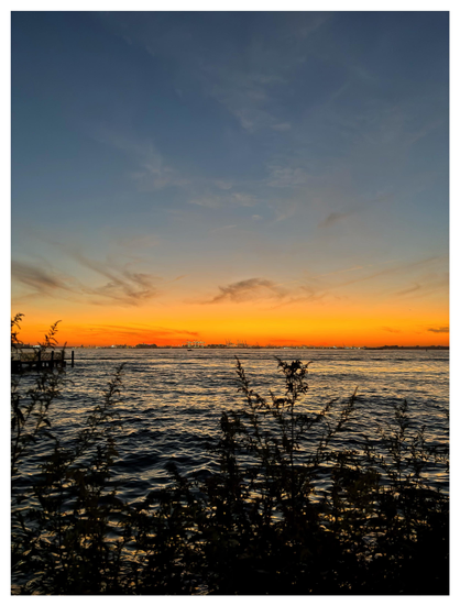 A view of New York Bay from Red Hook, Brooklyn, at sunset. Plant silhouettes in the foreground are backlit by calm waves gleaming with the last of the daylight. On the far New Jersey shoreline is a row of illuminated shipping cranes, tiny with distance, glittering like a string of fairy lights. The sky above the horizon is a glowing golden band, and further up, a deepening blue with high scattered clouds.