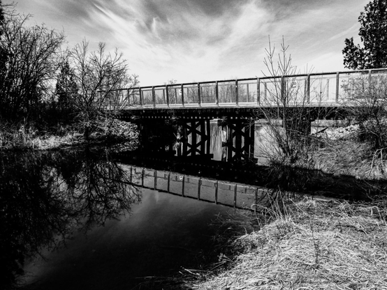 A footbridge along a walking trail is seen crossing a large stream. Shot from the stream edge and looking up towards the bridge the calm water reflects the bridge and nearby trees. Trees and grasses line both banks and wispy clouds fill the sky. This is a black and white image. 