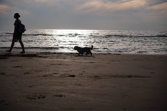Womand and her dog walking on the beach close to sunset.
