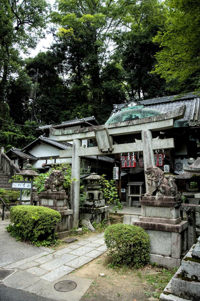 吉水辨財天女堂(円山弁天堂)の鳥居と本堂。鳥居の手前の両脇に狛犬が控えている。/ 2026.08.11 吉水辨財天女堂(円山弁天堂)から
