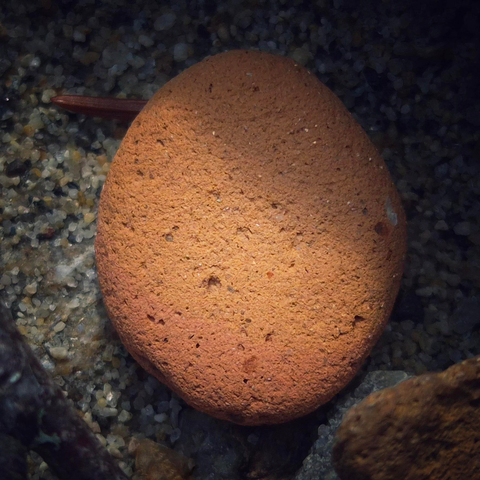 A piece, presumably from a brick, has been worn down to a small, oval, smooth shape and lies amongst other small stones, partly in the sun.