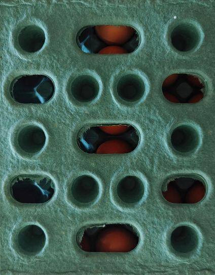 A close-up photo of a green textured surface with circular and oval cutouts through which one can see some brown eggs.