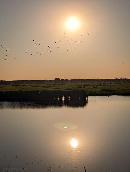 This tranquil golden-hour landscape features a bright sun, a flock of birds in flight, and calm water reflecting the hazy sky.

Notably, a crescent-shaped lens flare in the water's reflection reveals that the scene actually captures a partial solar eclipse, which is otherwise obscured by the sun's intense glare in the sky. 

Flat pastures with distant grazing cattle complete the peaceful horizon.