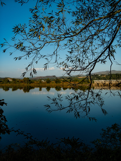 A scenic landscape view of a calm lake seen through the silhouette of delicate leafy tree branches. The calm, blue water reflects the shoreline trees across the lake and a soft blue sky with a few small clouds.